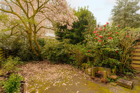 Wouwermanstraat 19-H secondary image