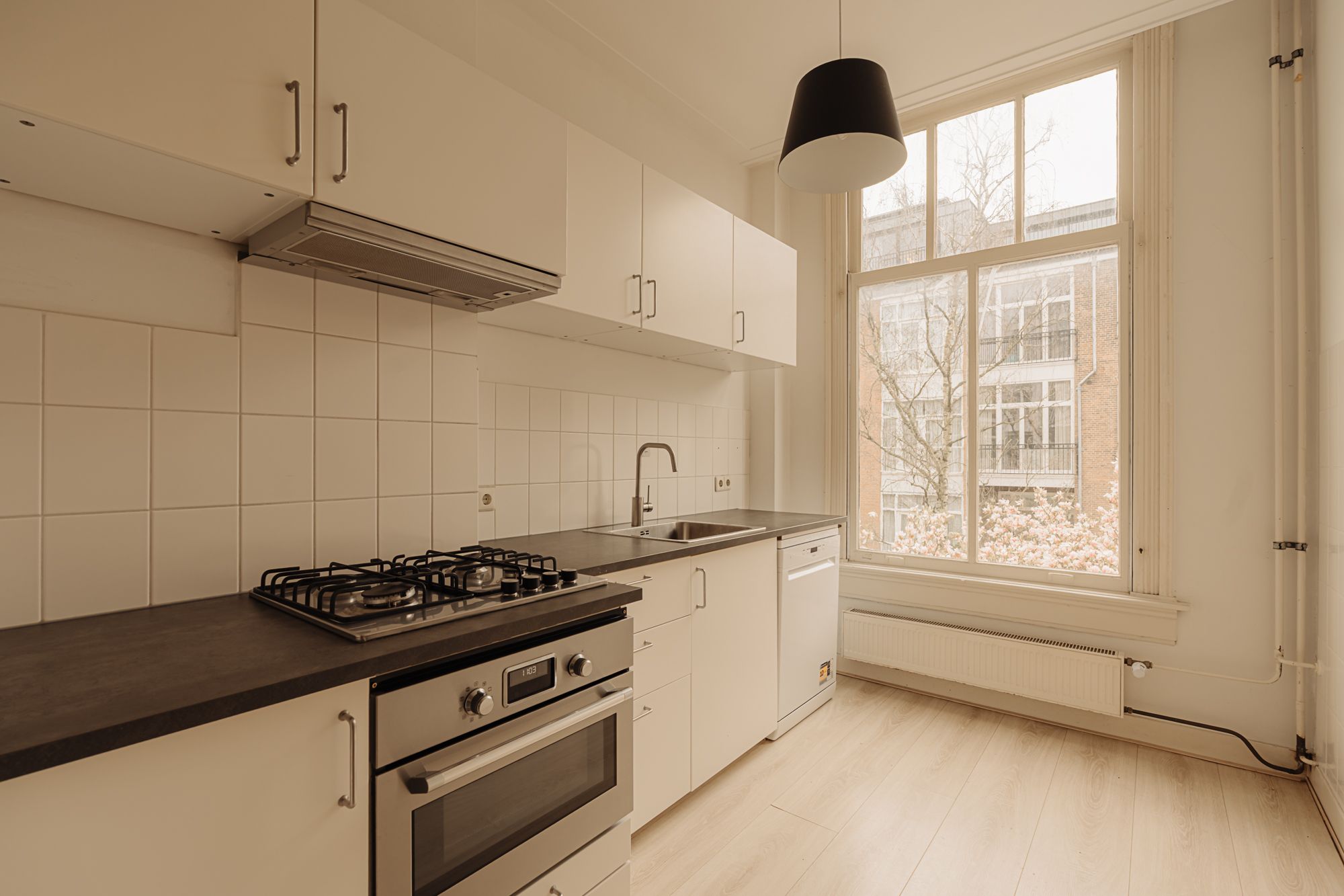 Foto 18 van Wouwermanstraat 19-H