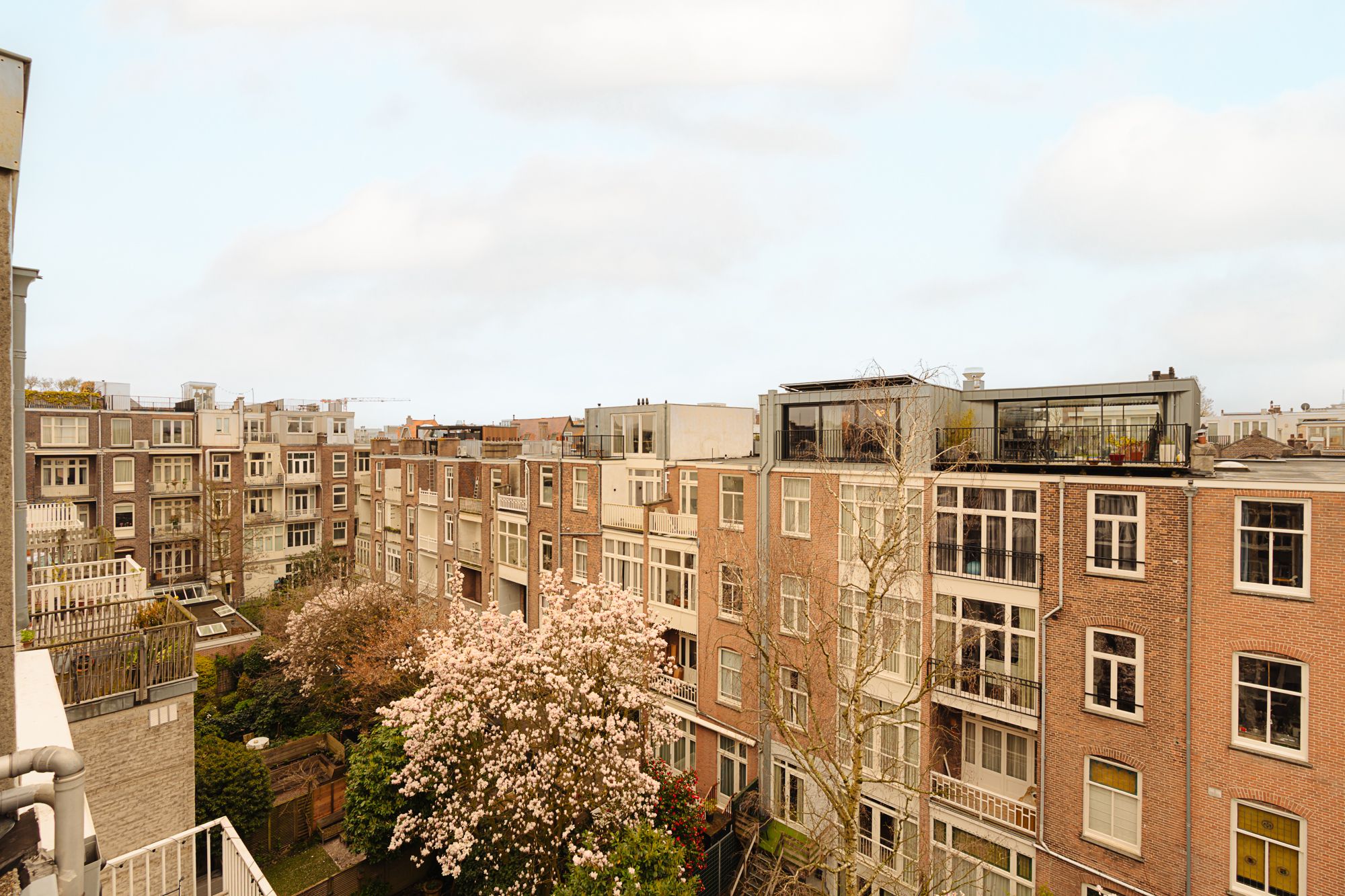 Foto 36 van Wouwermanstraat 19-H