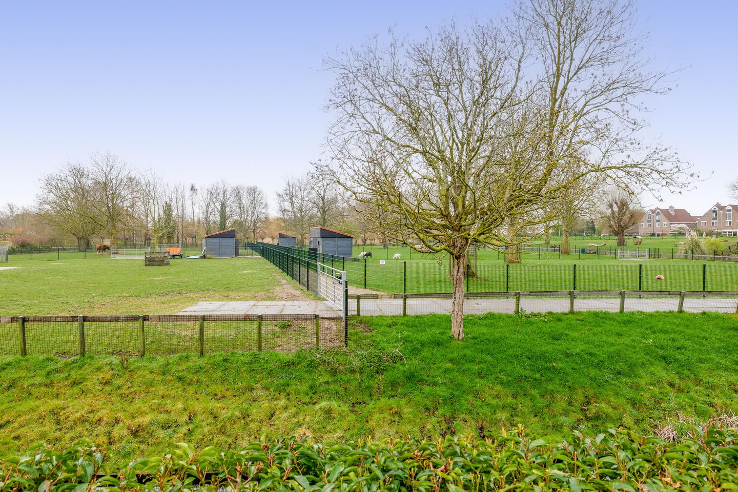 Foto 4 van Pijlstaart 39