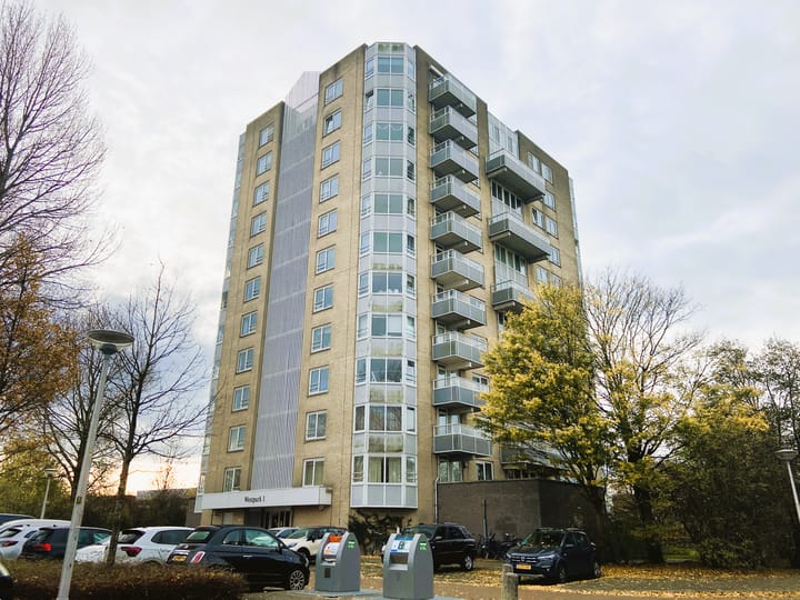 Foto 2 van Rosa Spierlaan 410