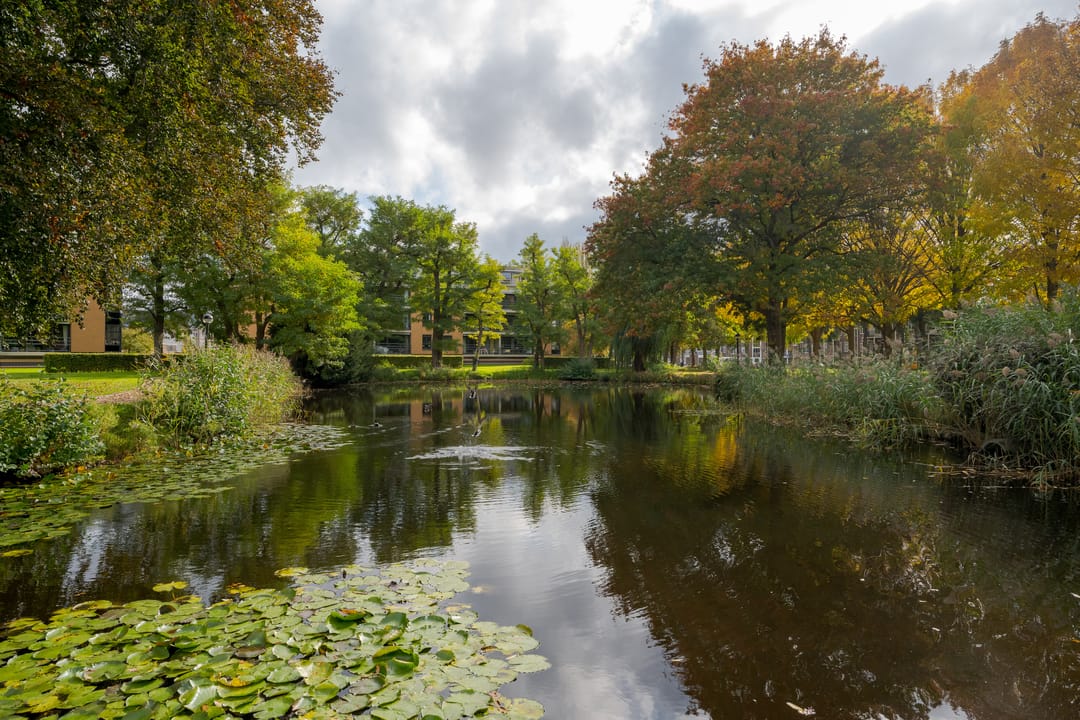 Photo 8 of Professor Boerhaaveweg 51