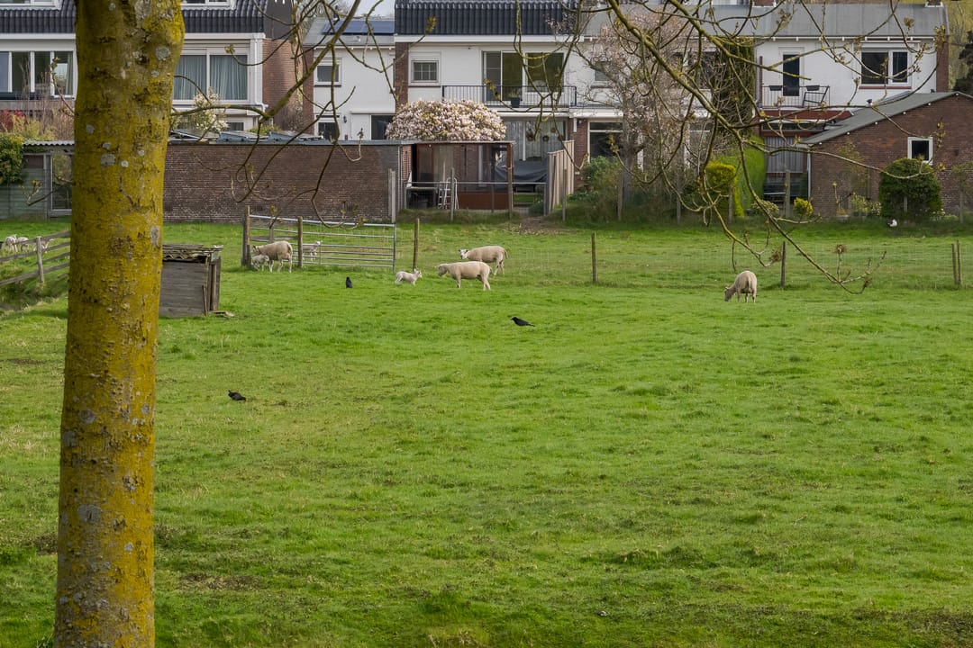 Photo 38 of Professor Boerhaaveweg 51