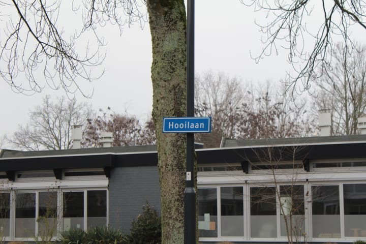 Foto 3 van Hooilaan 28