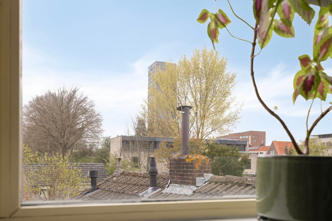 Foto 38 van Bredaseweg 281