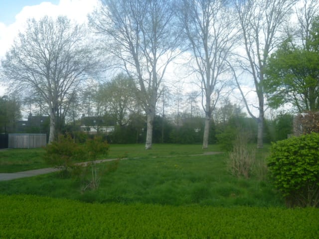 Foto 29 van Tulderhei 20