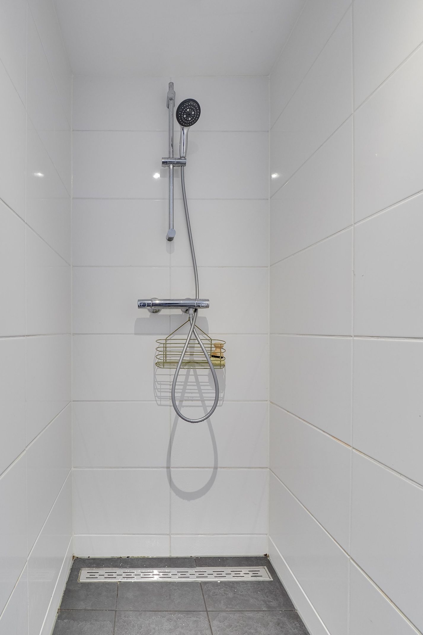 Foto 51 van Beemdgrassingel 26