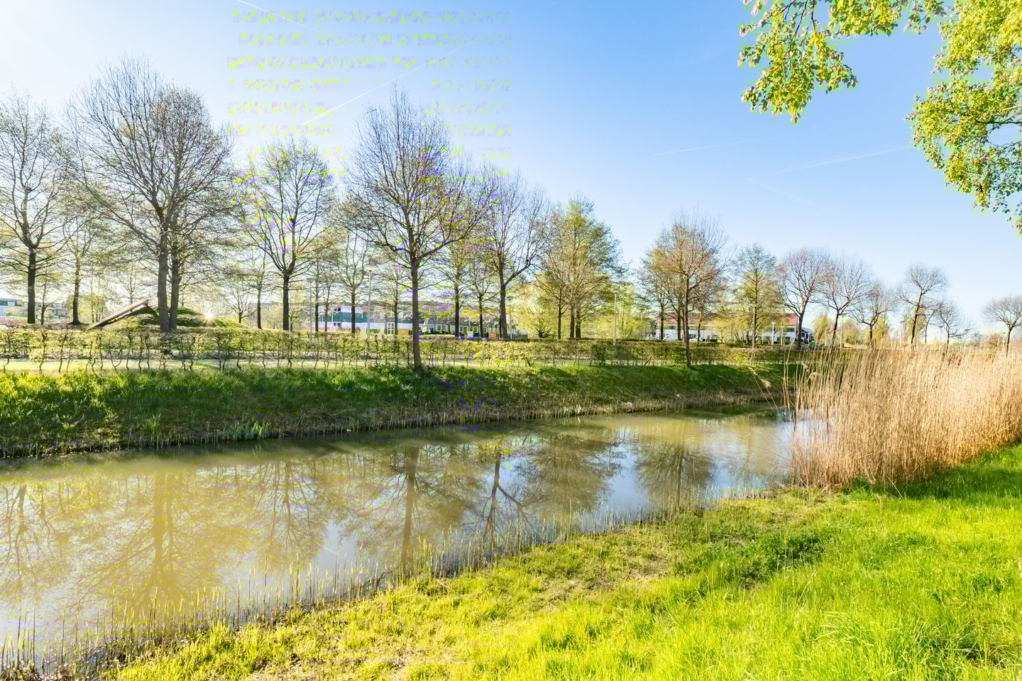 Foto 64 van Beemdgrassingel 26