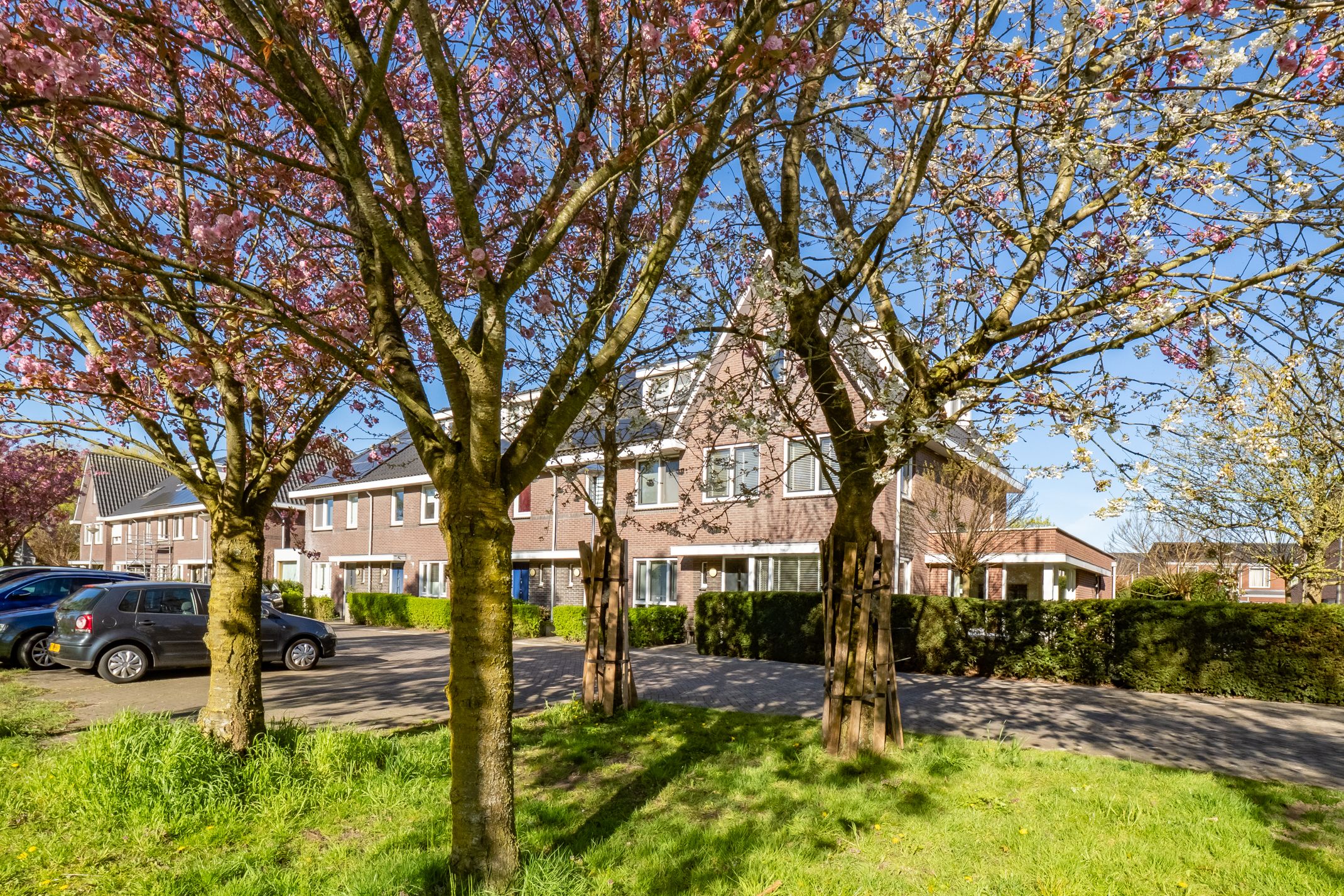 Foto 66 van Beemdgrassingel 26