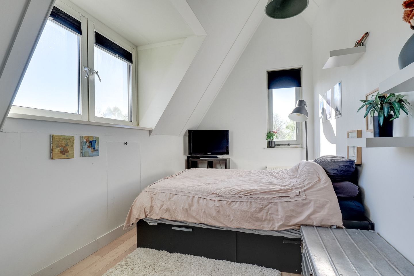 Foto 35 van Beemdgrassingel 26