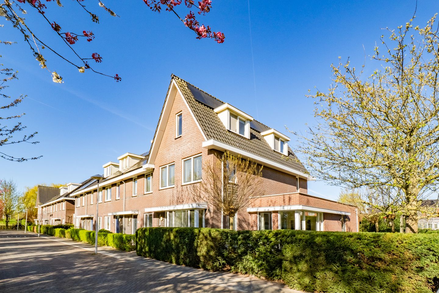 Foto 59 van Beemdgrassingel 26