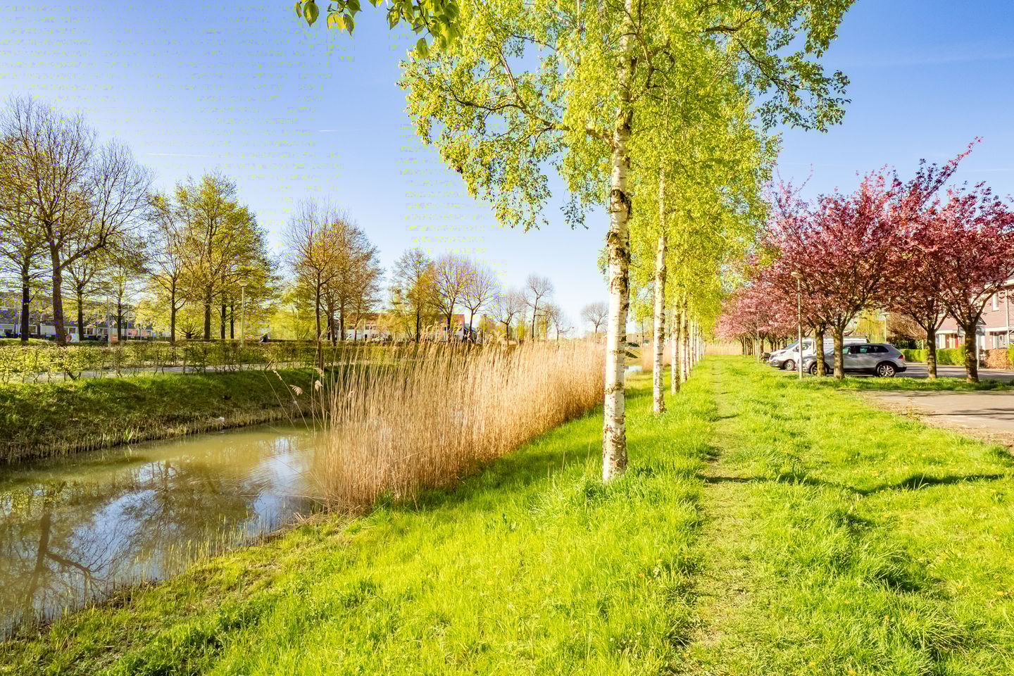 Foto 65 van Beemdgrassingel 26