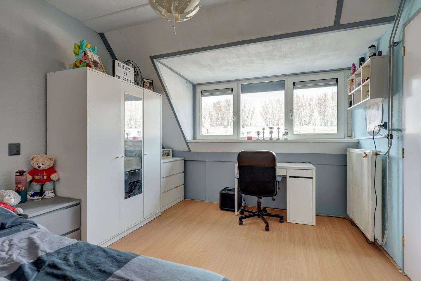 Foto 20 van Anijsveld 6