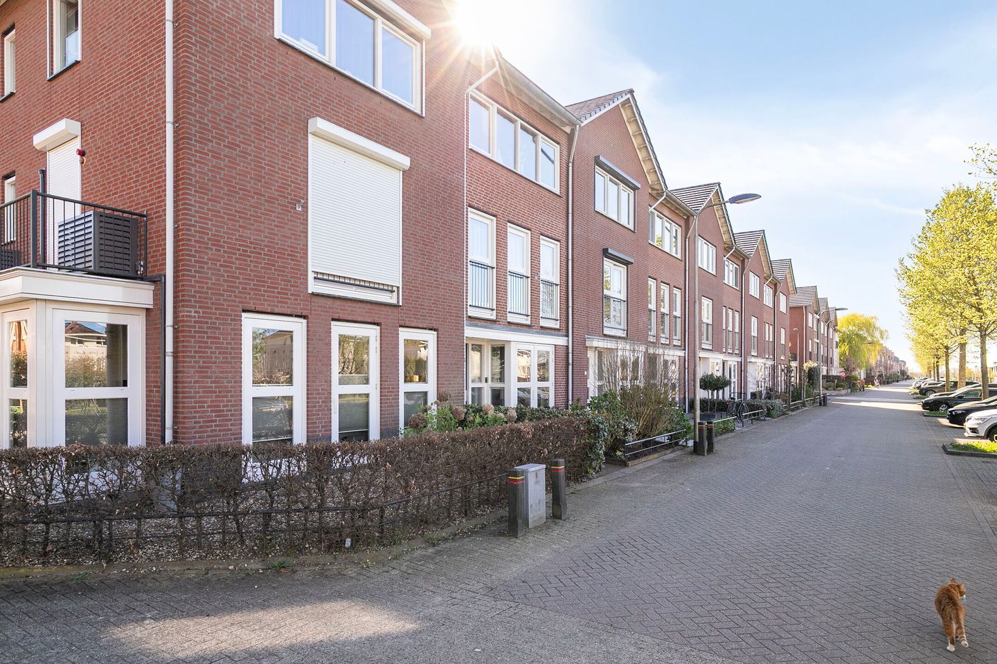 Photo 44 of Hermelijnsingel 13