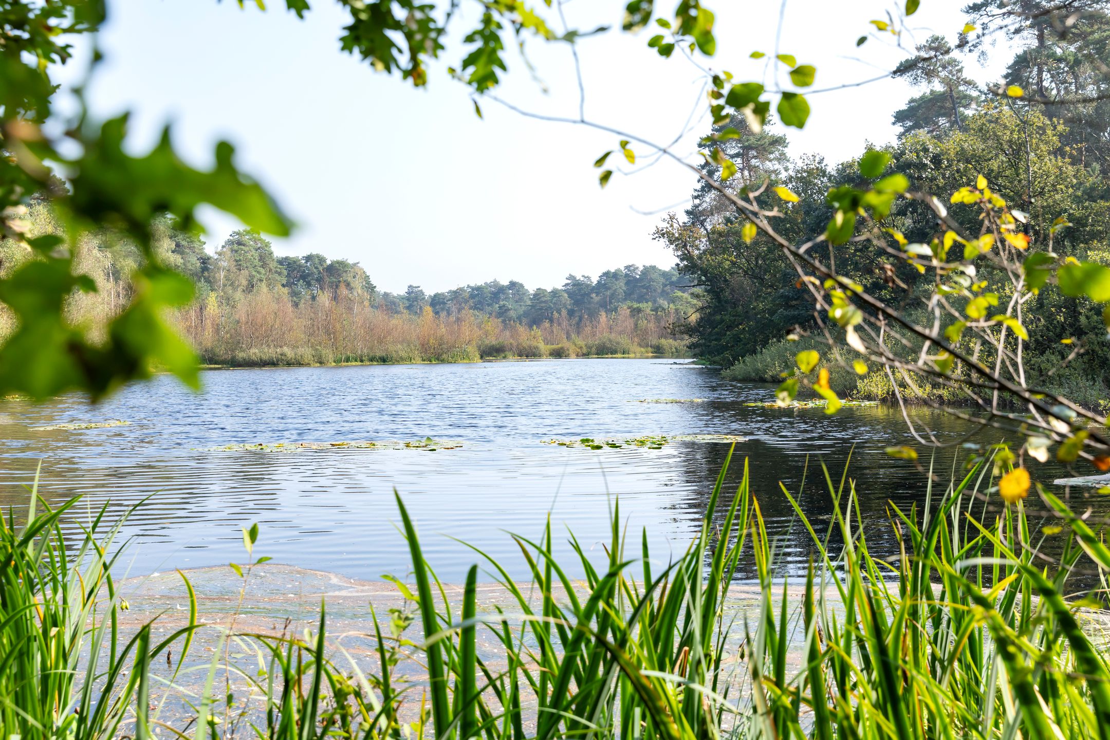 Foto 13 van Hof van Paen