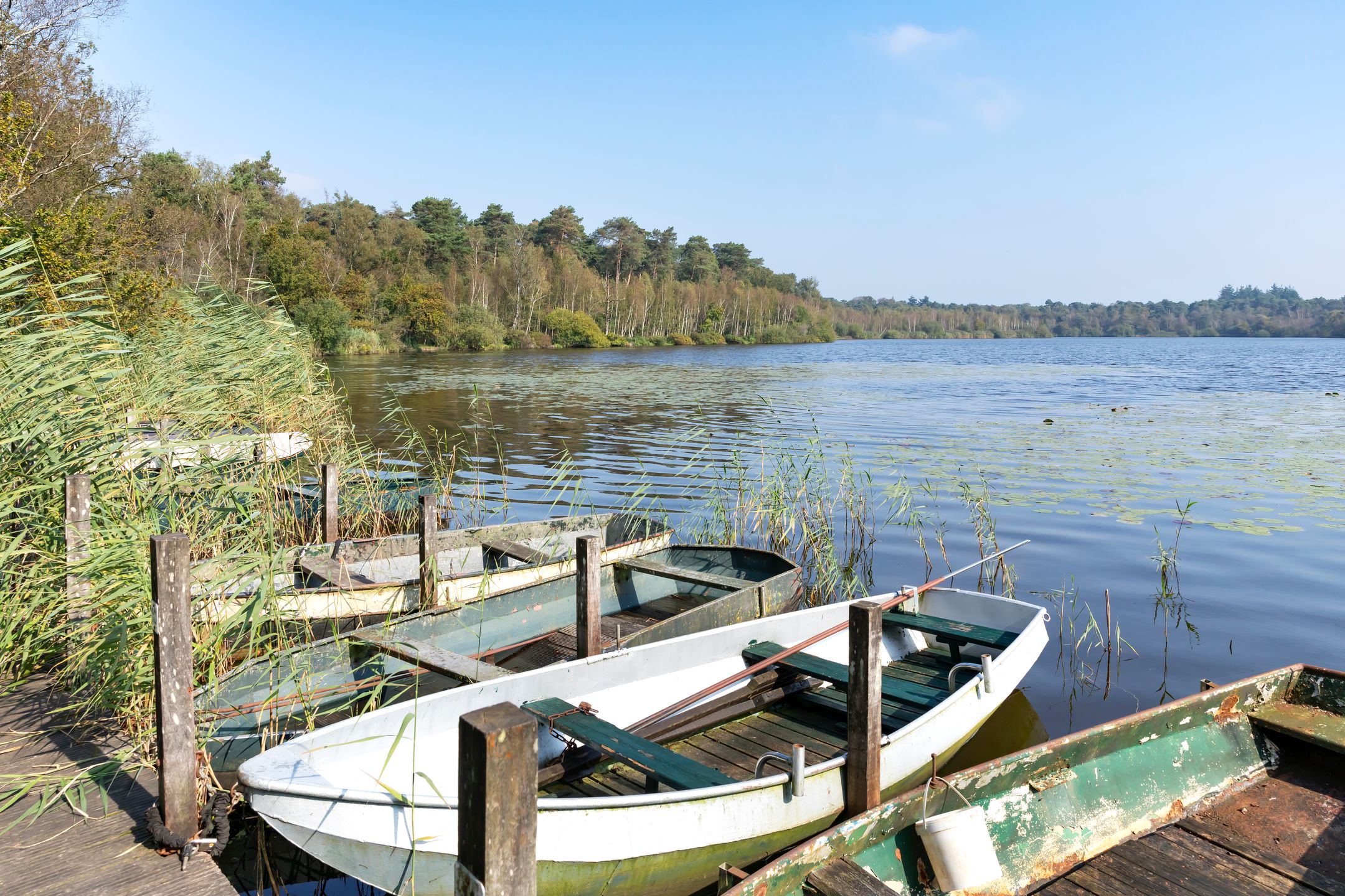 Foto 14 van Hof van Paen