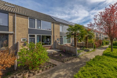 Juweelstraat thumbnail