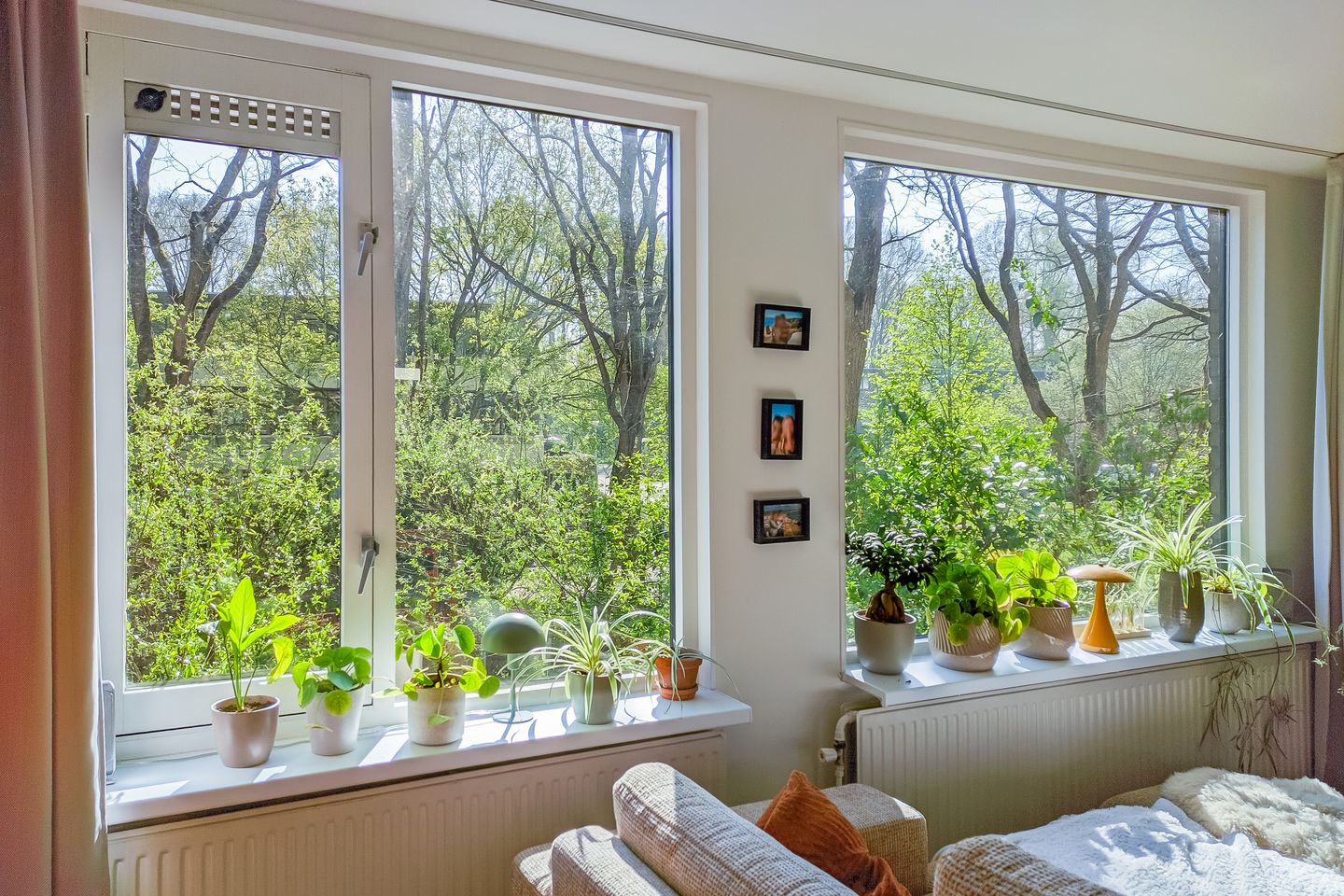 Foto 10 van Normandië 24