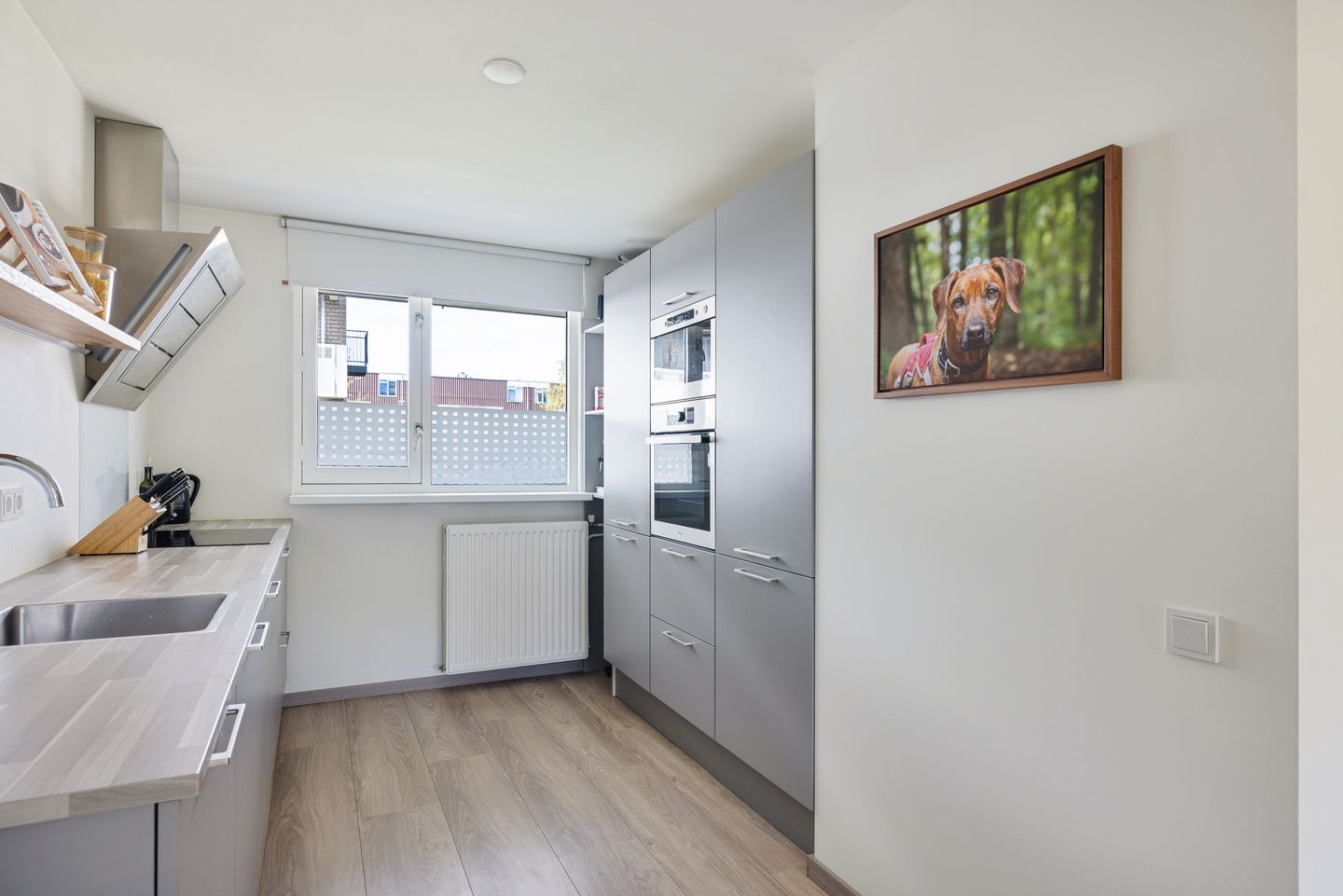 Foto 14 van Normandië 24