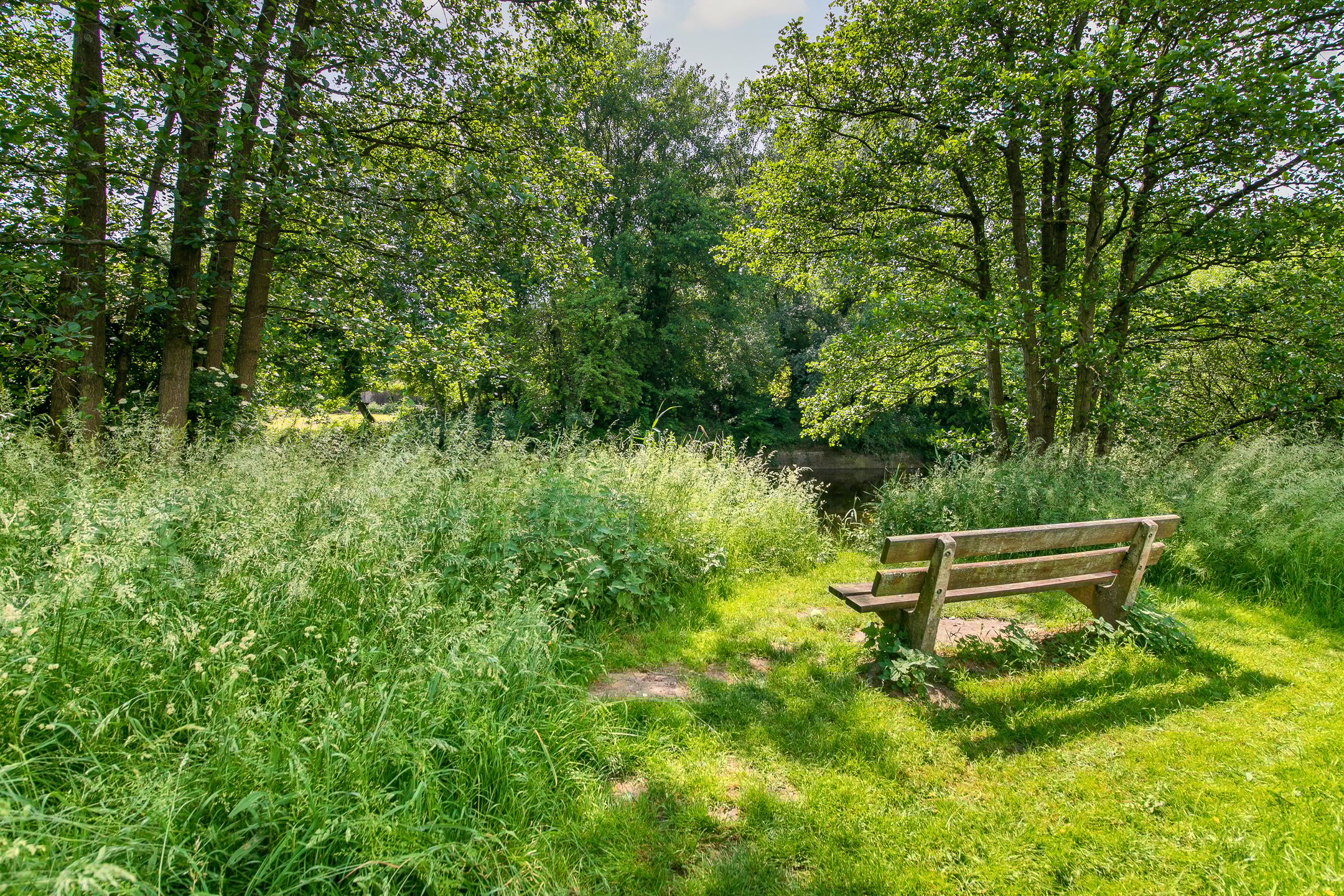 Foto 45 van Normandië 24