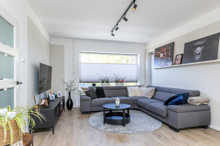 Photo 2 of Sjpaans Kentje 20