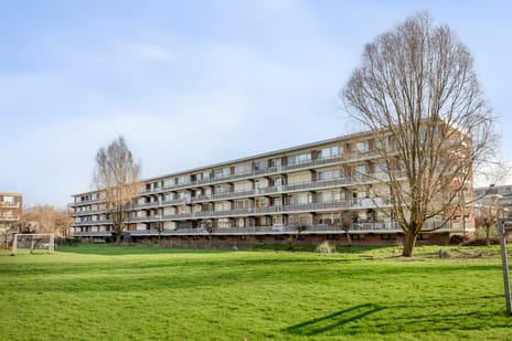 van Blankenheimstraat thumbnail