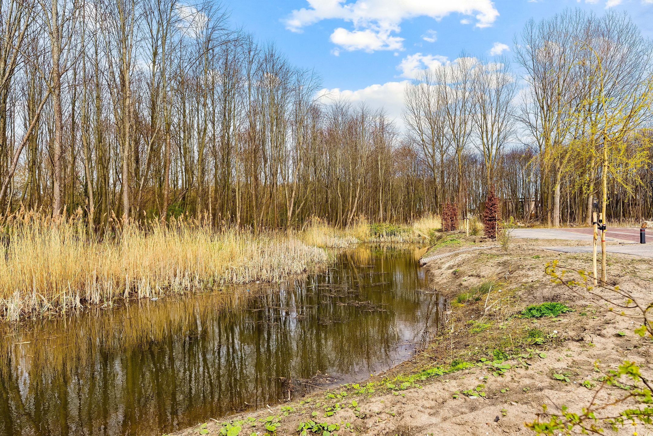 Photo 45 of John van Vleckstraat 245