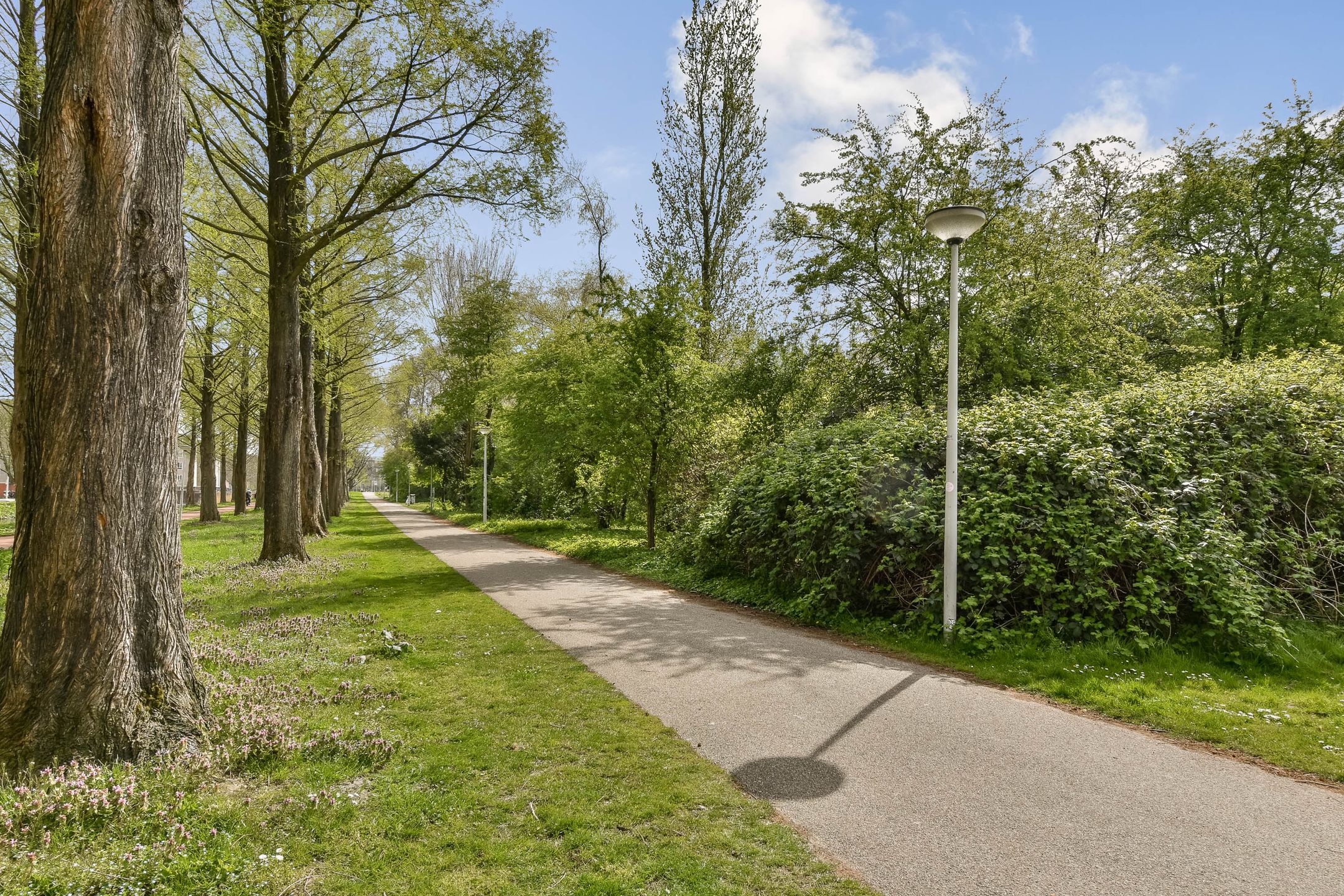 Foto 24 van Lex Althoffstraat 27-3