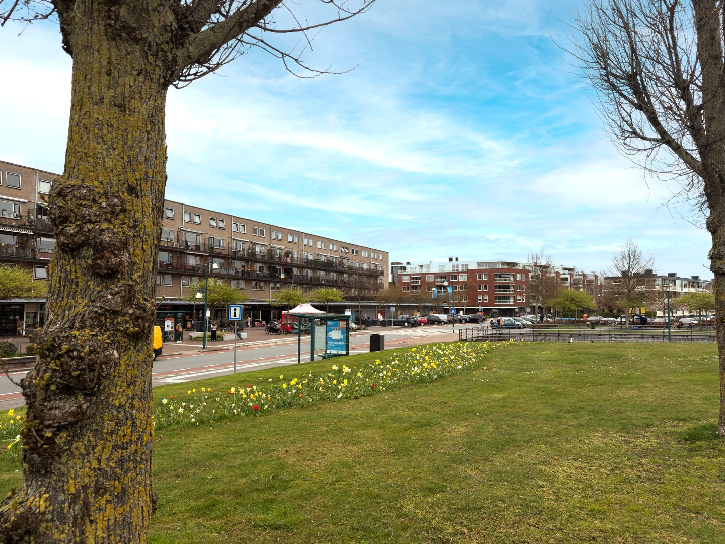 Foto 40 van Irislaan 173