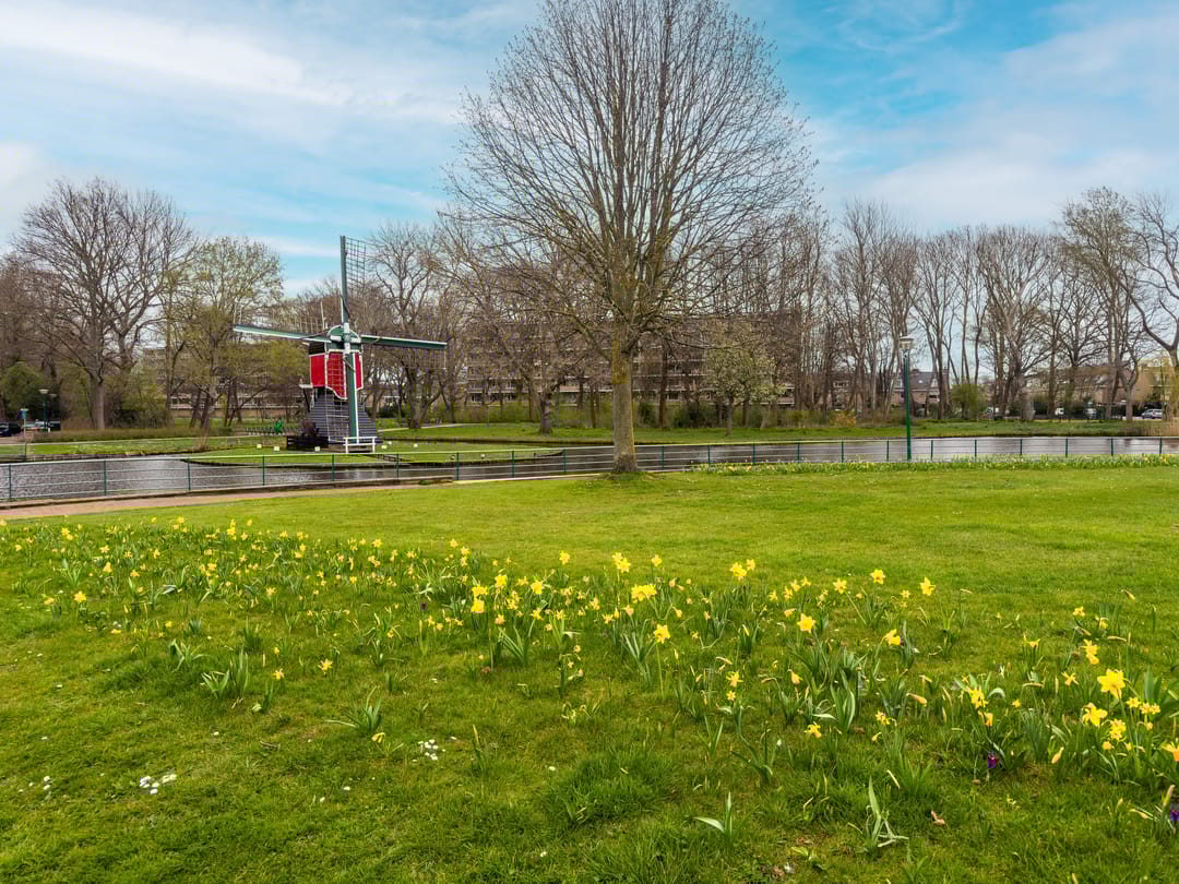 Foto 41 van Irislaan 173