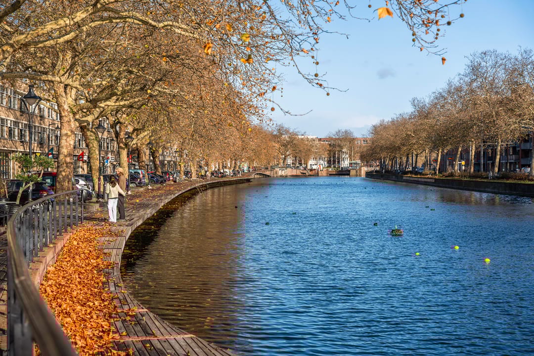 Foto 17 van 1e Pijnackerstraat 96-F