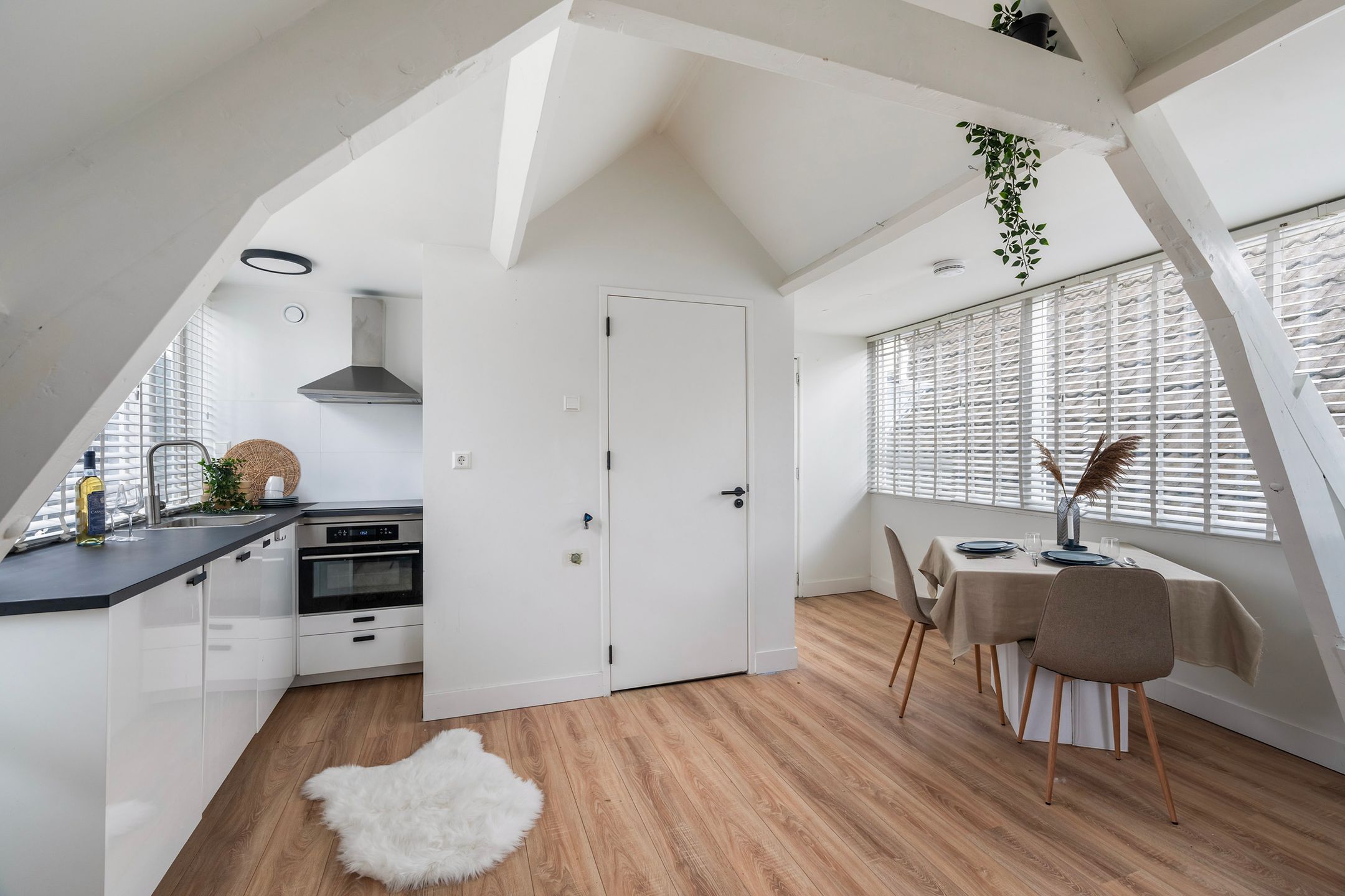 Foto 6 van 1e Pijnackerstraat 96-F