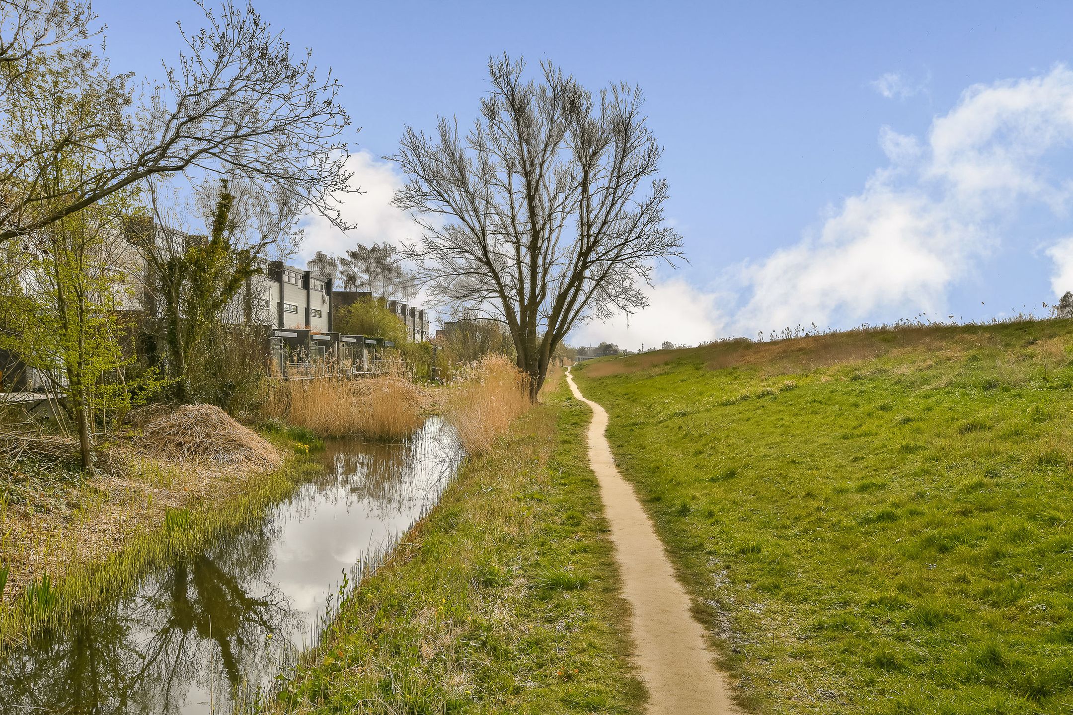 Photo 24 of Monte Perdido 13