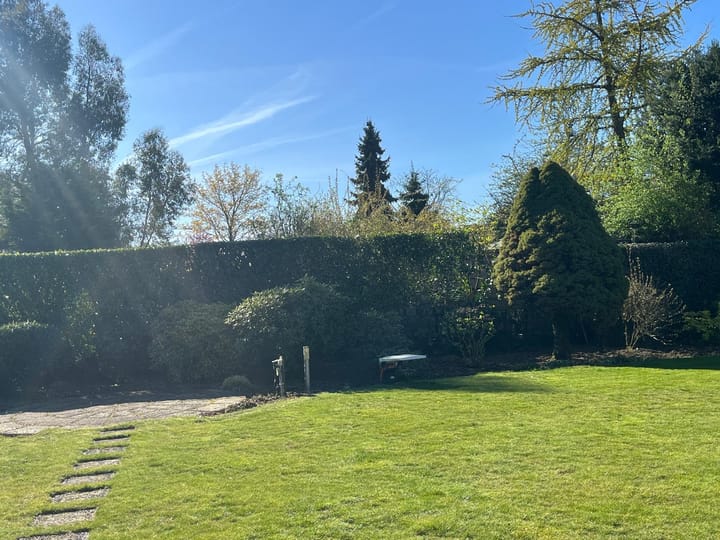 Photo 3 of Den Bogerd 9