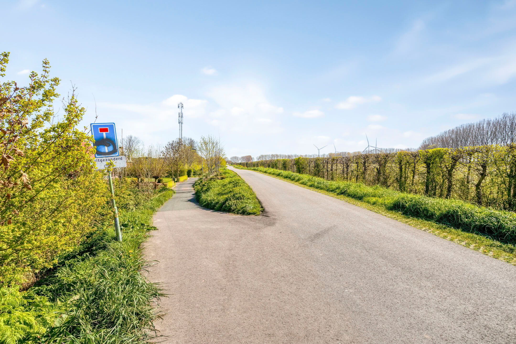 Photo 84 of Haagdijk 13