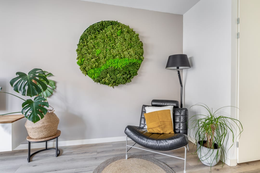 Foto 13 van Tapstraat 8