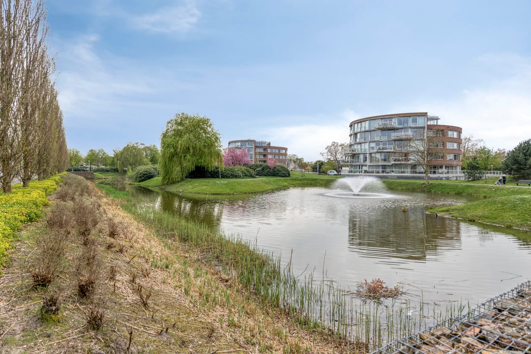 Foto 41 van Putter 16