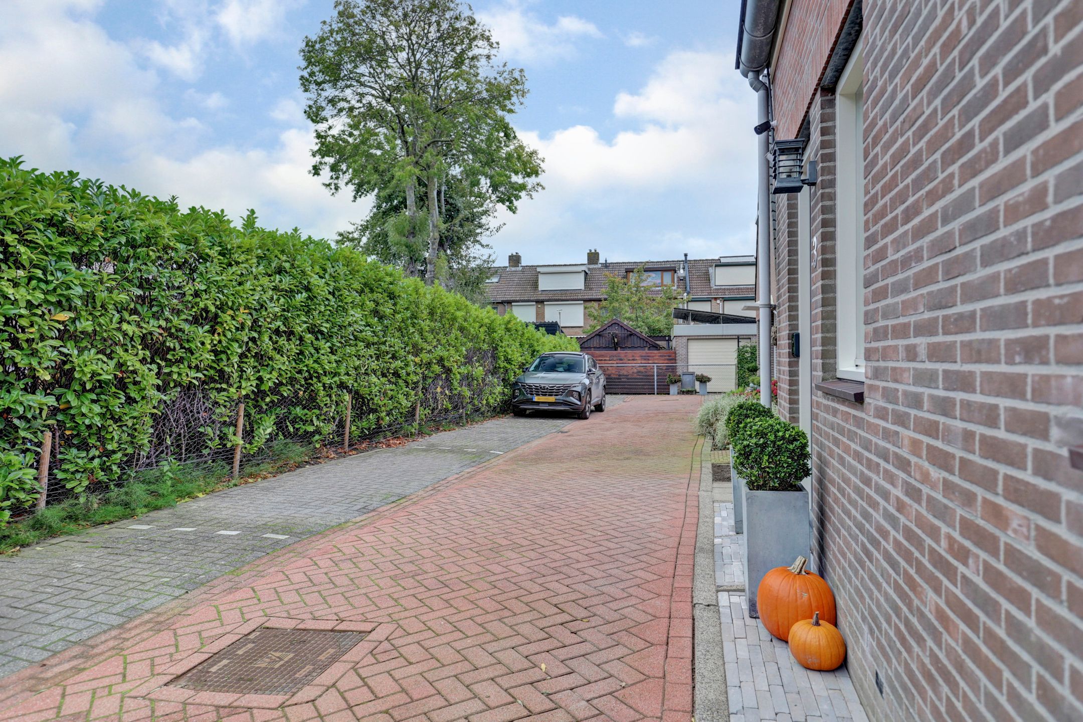 Photo 39 of Tuinderspad 3