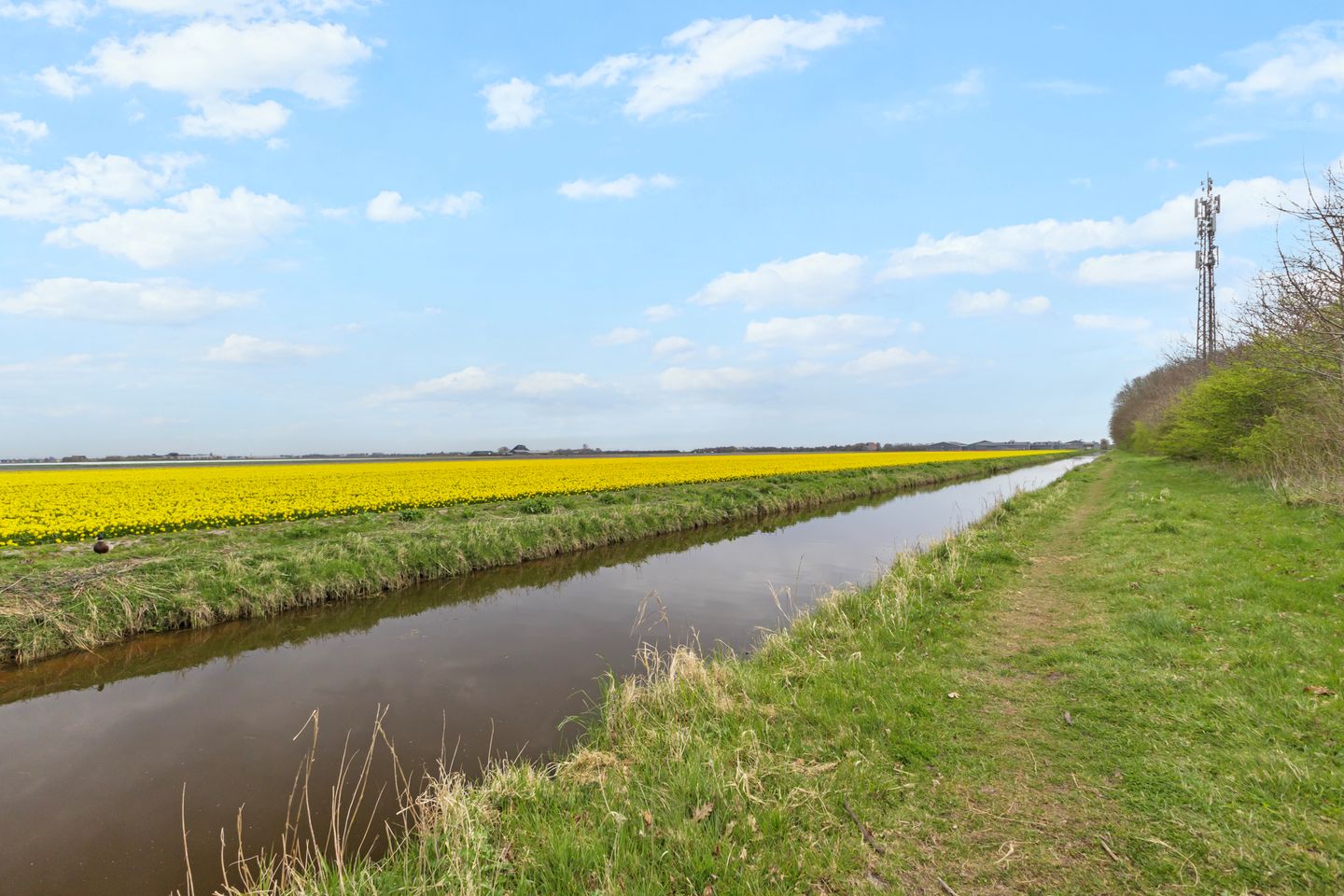 Photo 29 of Kastanjehout 48