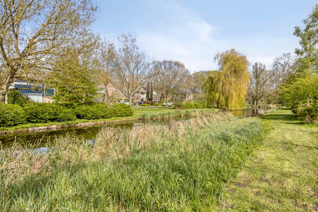 Foto 26 van Kolfstraat 175