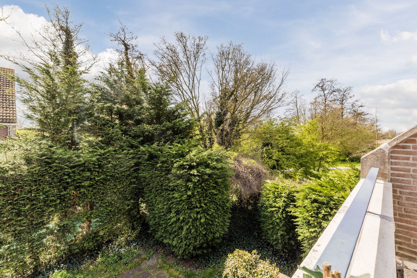 Foto 4 van Kraaijenkampzoom 52