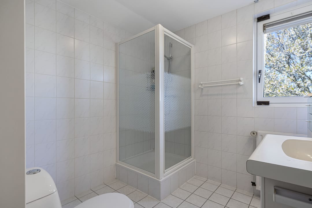 Foto 31 van Graspieper 17