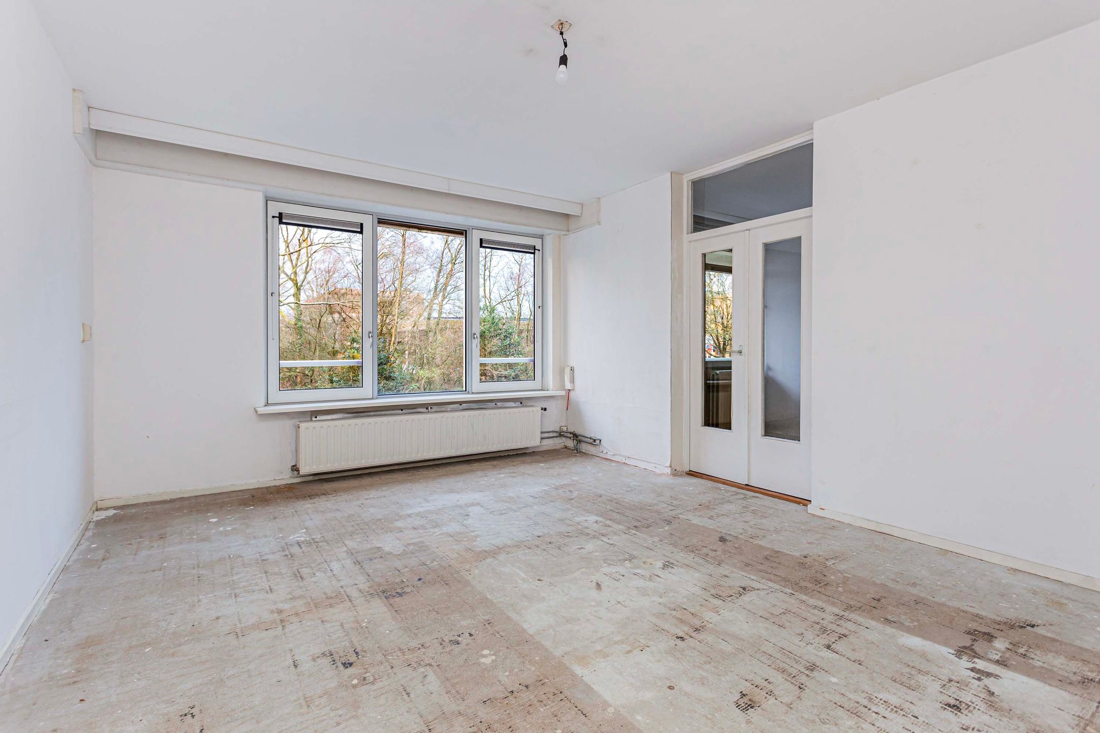 Photo 3 of Zangvogelweg 285