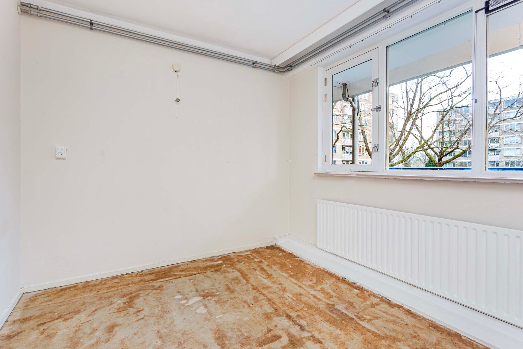 Photo 21 of Zangvogelweg 285