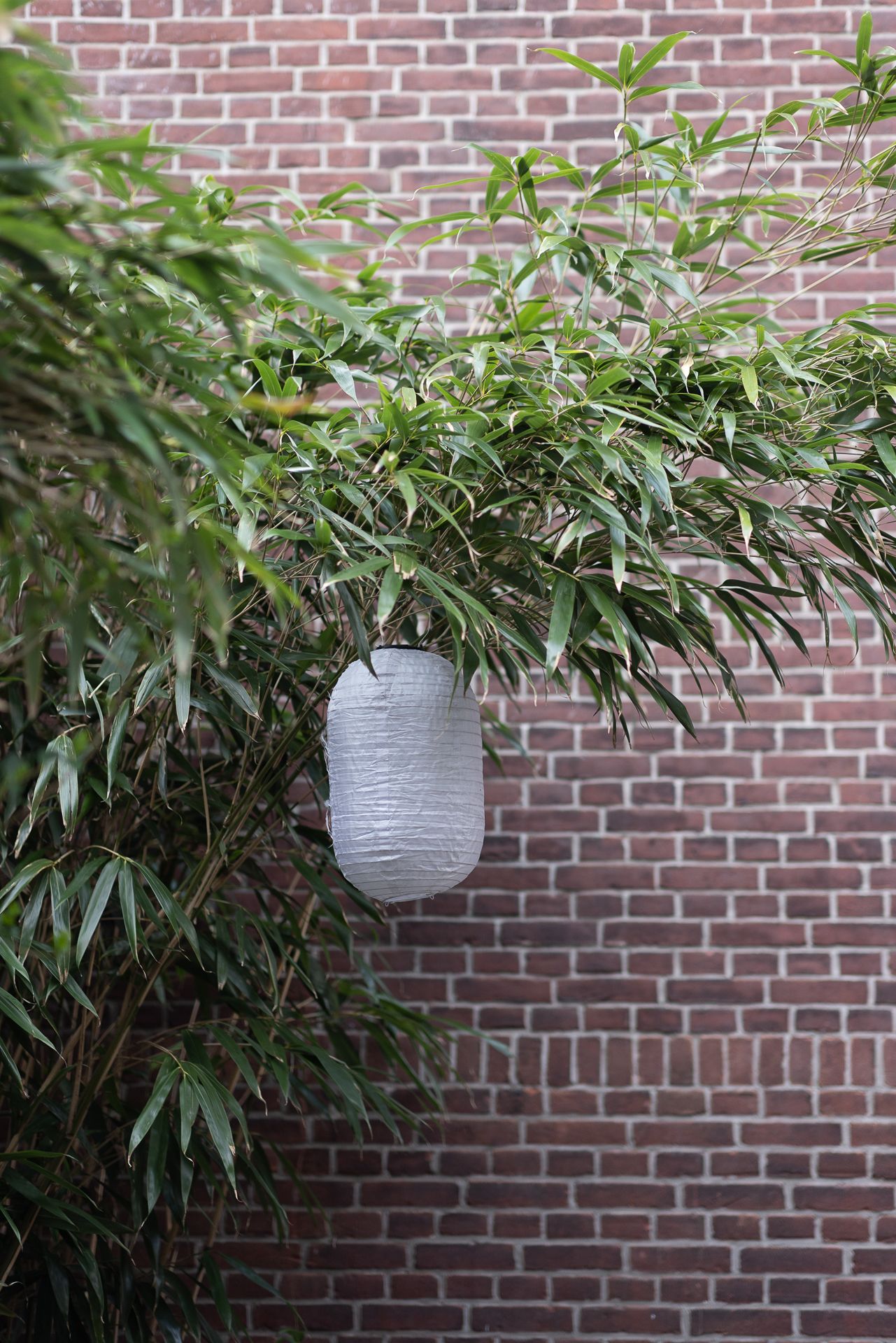 Foto 24 van Heemraadssingel 261-A