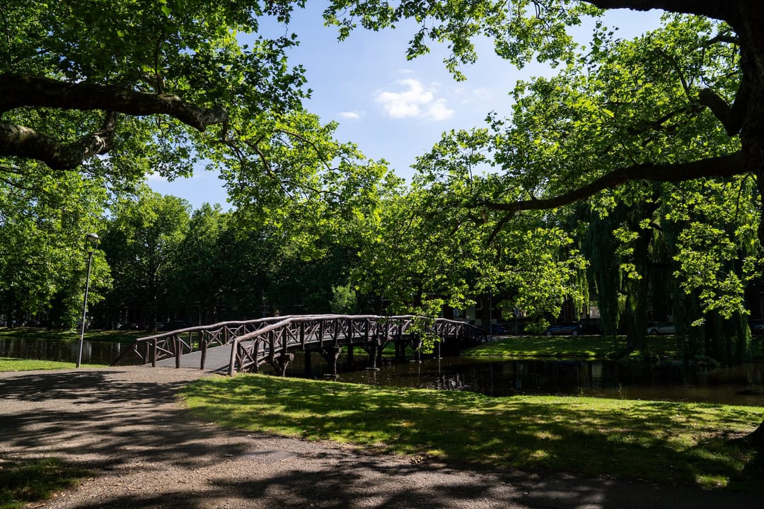 Foto 28 van Heemraadssingel 261-A