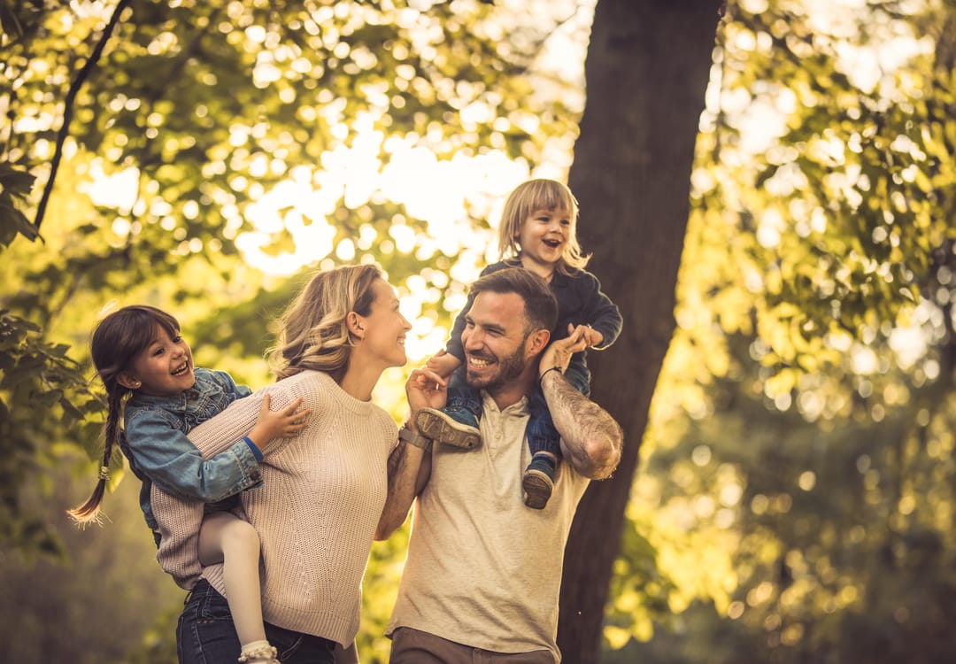 Photo 8 of Bijentuin