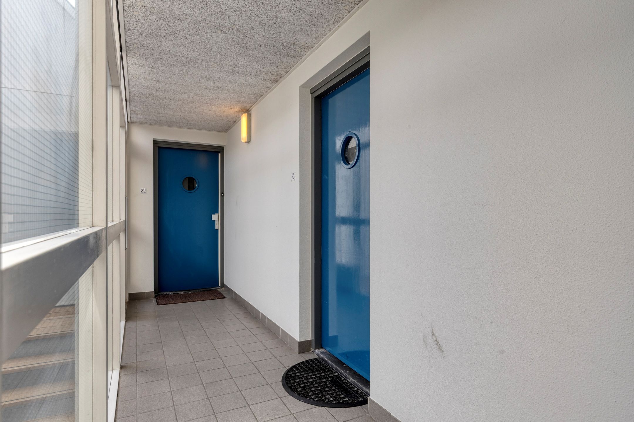 Photo 6 of Kievit 23