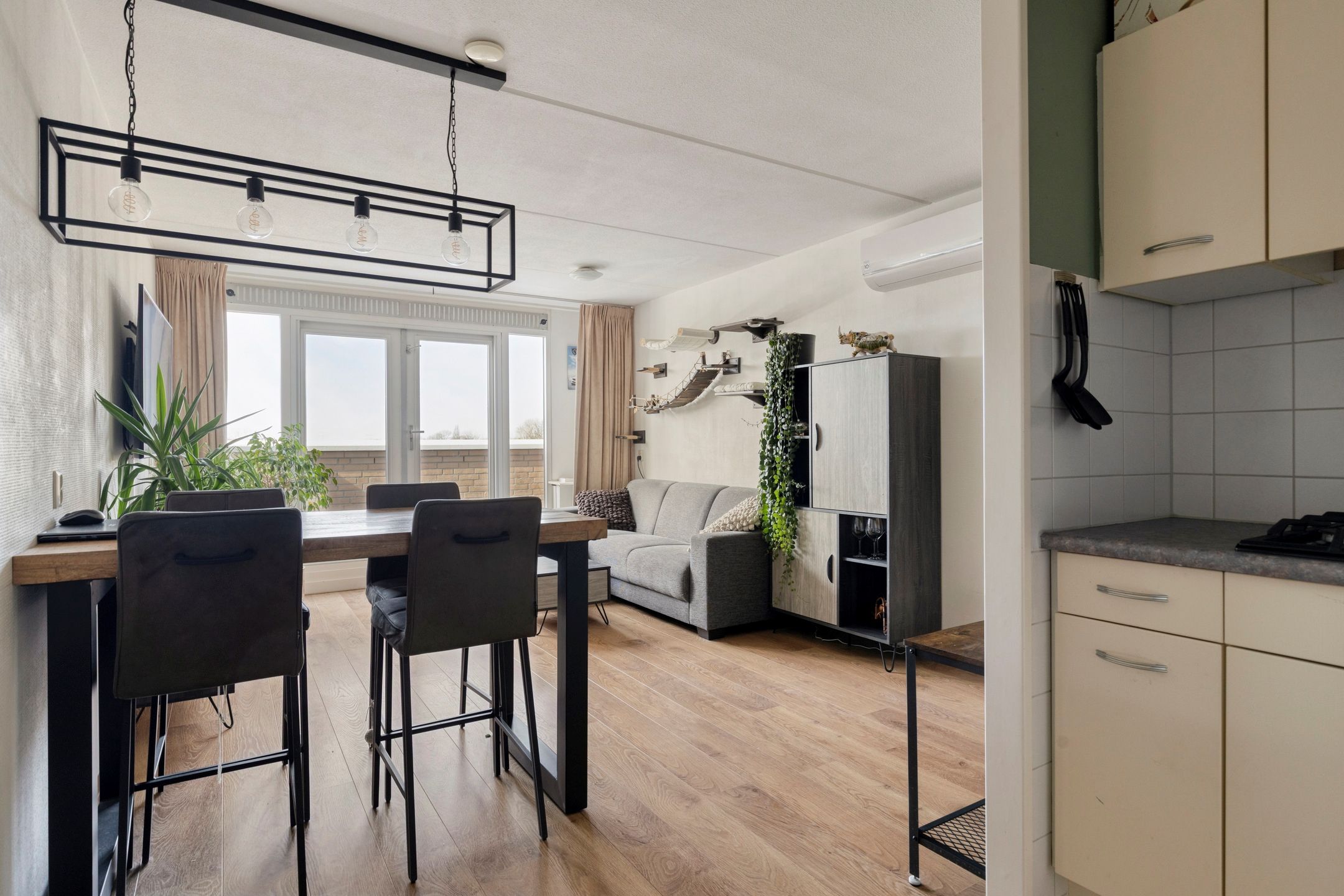 Photo 12 of Kievit 23