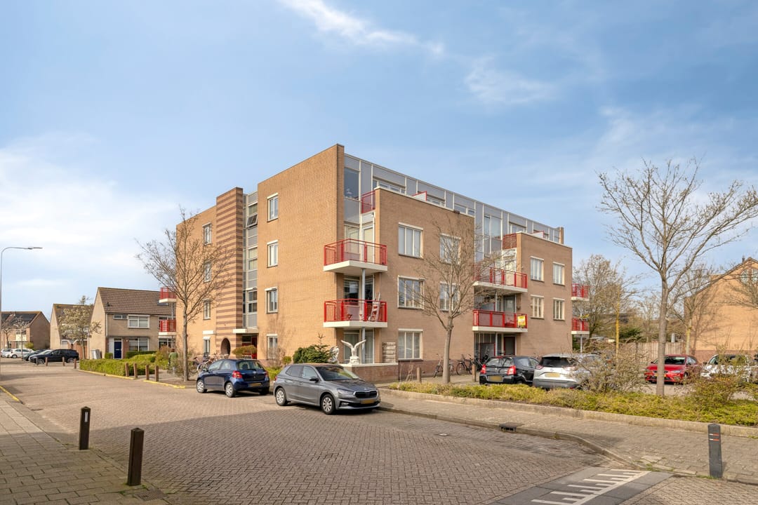 Photo 2 of Kievit 23